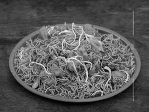 Chicken Chinese Bhel