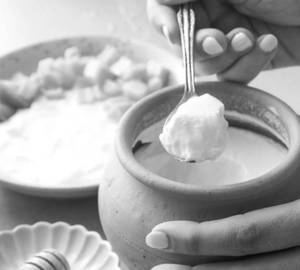 Plain Dahi