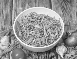 Hakka Noodles