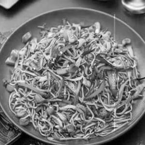 Chicekn Pan Fried Noodle
