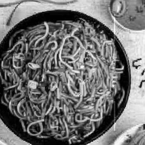 Chicken Chilli Garlic Noodles