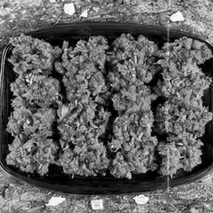 Veg Crispy