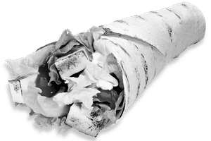 Spicy paneer wrap