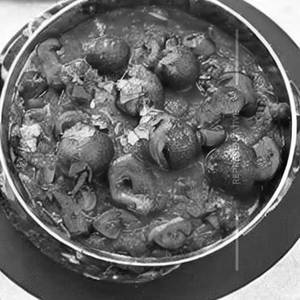 Kumbh Mushroom Khurchan