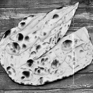 Plain Naan