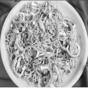 Chowmein