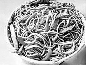 Veg Thai Pot Noodles