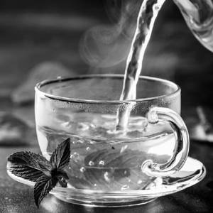 GREEN TEA