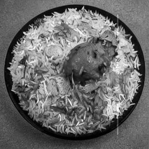 Chicken Tikka Biryani