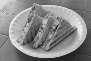 Paneer Toasty Sandwhich