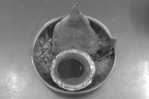 Samosa (2 pcs)