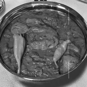 Mudhi Ghanta