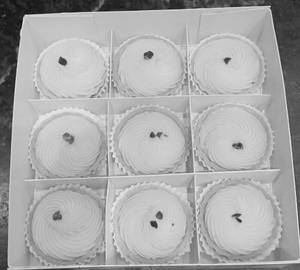 9 Lemon Tart & Small Travel Pastry Box
