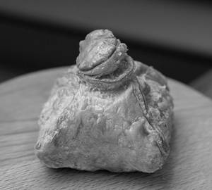 Chicken Envelope  