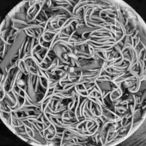 Veg Hakka Noodles