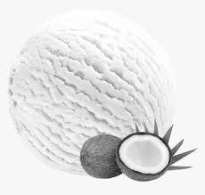 Tender Coconut Scoop