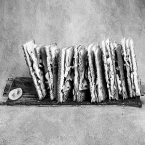 Vegetable Sandwich