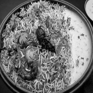 Veg. Biryani