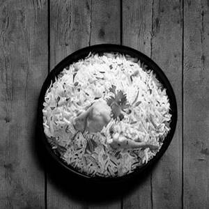 Chicken Special Exotic Rice