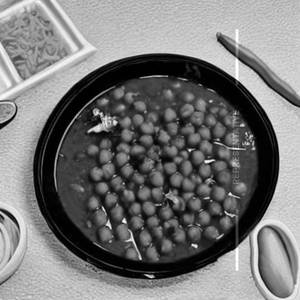 Chole (Small Plate)