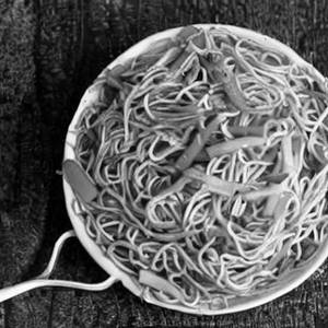 Veg Schezwan Noodles