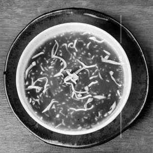 Chicken Manchow Soup