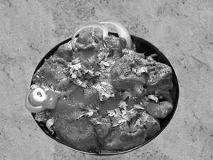 Chicken Masala Fry