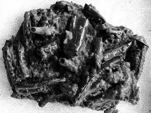 Bhindi Masala