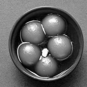 Gulab Jamun