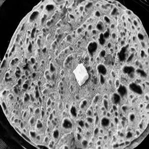 Onion Paratha