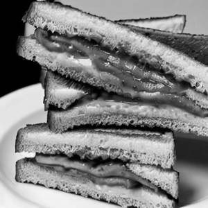 Melting Sandwich White Bread