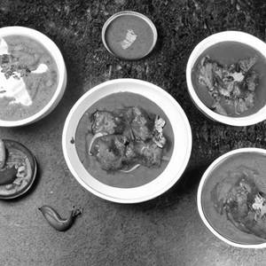 Murgh Nawabi Masala