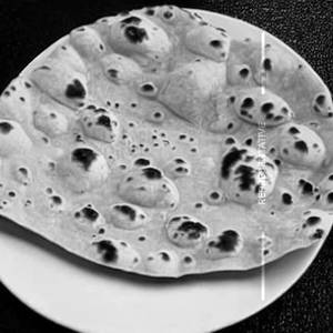 Roti
