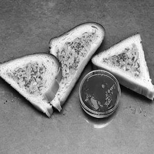 Bread Butter Jam