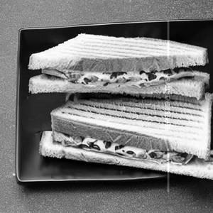 White Cheese Sandwich