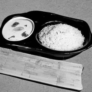 Plain Rice