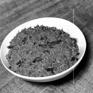 Tomato Rice
