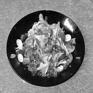 Green Salad