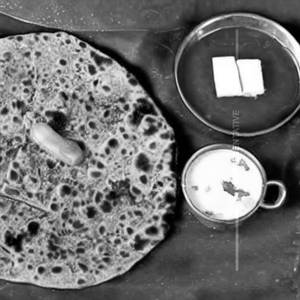 Pudina Garlic Paratha