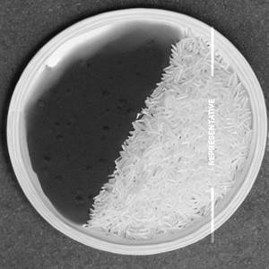 Plain Rice (Half Plate)