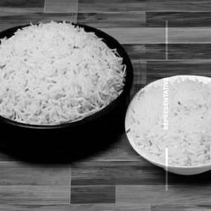 Plain Rice