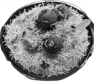 Jhinga Dum Biryani