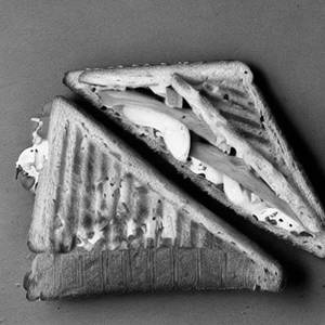 Veg Toast Cheese Sandwich