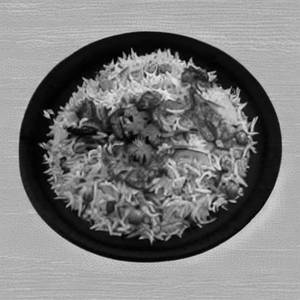 Veg Jain Biryani