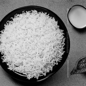 Plain Rice