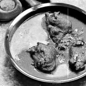 Chicken Lajawab