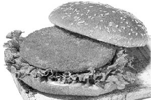 Classic Egg Burger