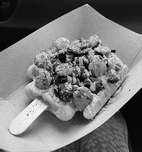 Cookie Monster 