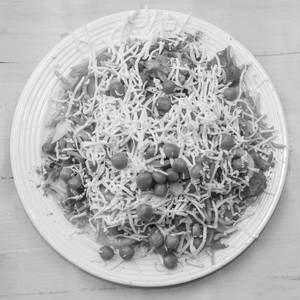 Cheese Biryani