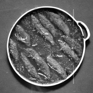 Fish Honey Dry